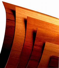 Wood Veneer Steel Doors